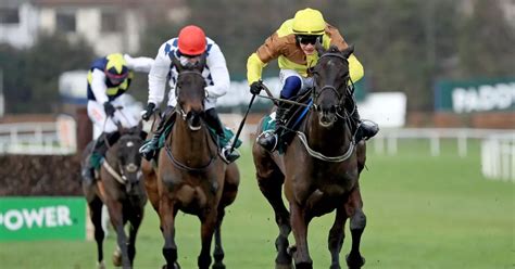 cheltenham festival 2023 runners.